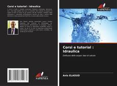 Corsi e tutorial : Idraulica的封面