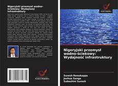 Copertina di Nigeryjski przemysł wodno-ściekowy: Wydajność infrastruktury