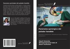 Buchcover von Panorama quirúrgico del paladar hendido