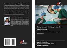 Panoramica chirurgica della palatoschisi kitap kapağı