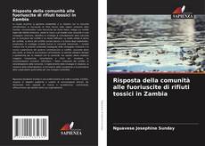 Risposta della comunità alle fuoriuscite di rifiuti tossici in Zambia kitap kapağı