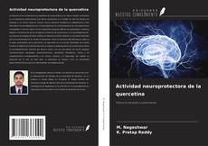 Couverture de Actividad neuroprotectora de la quercetina