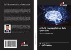 Attività neuroprotettiva della quercetina kitap kapağı