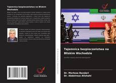 Tajemnica bezpieczeństwa na Bliskim Wschodzie的封面