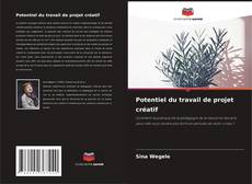 Bookcover of Potentiel du travail de projet créatif
