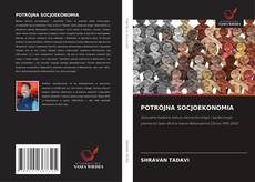 Copertina di POTRÓJNA SOCJOEKONOMIA