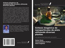 Buchcover von Síntesis biogénica de nanopartículas de plata utilizando diversas plantas