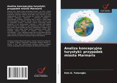 Copertina di Analiza koncepcyjna turystyki: przypadek miasta Marmaris