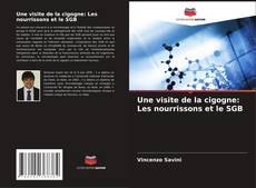 Couverture de Une visite de la cigogne: Les nourrissons et le SGB