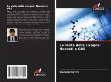 Borítókép a  La visita della cicogna: Neonati e GBS - hoz