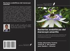 Capa do livro de Bacterias endofíticas del maracuyá amarillo 