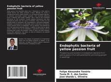 Обложка Endophytic bacteria of yellow passion fruit