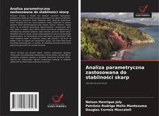 Analiza parametryczna zastosowana do stabilności skarp的封面