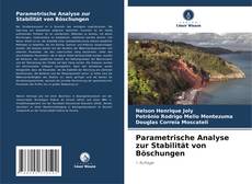 Parametrische Analyse zur Stabilität von Böschungen kitap kapağı