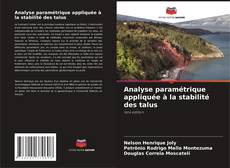 Couverture de Analyse paramétrique appliquée à la stabilité des talus