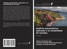 Couverture de Análisis paramétrico aplicado a la estabilidad de taludes