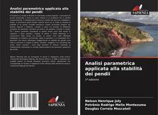Analisi parametrica applicata alla stabilità dei pendii kitap kapağı