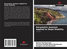 Copertina di Parametric Analysis Applied to Slope Stability