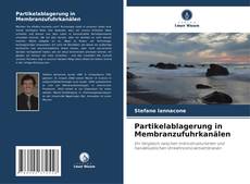 Partikelablagerung in Membranzufuhrkanälen kitap kapağı