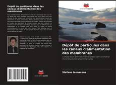 Couverture de Dépôt de particules dans les canaux d'alimentation des membranes