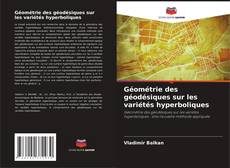 Buchcover von Géométrie des géodésiques sur les variétés hyperboliques