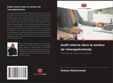 Buchcover von Audit interne dans le secteur de l'énergieContrats