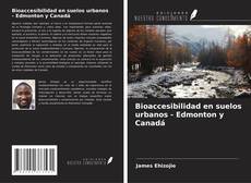 Buchcover von Bioaccesibilidad en suelos urbanos - Edmonton y Canadá