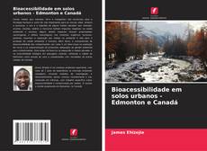 Copertina di Bioacessibilidade em solos urbanos - Edmonton e Canadá