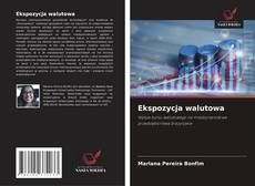 Buchcover von Ekspozycja walutowa
