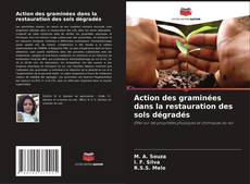 Bookcover of Action des graminées dans la restauration des sols dégradés