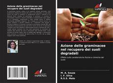Buchcover von Azione delle graminacee nel recupero dei suoli degradati
