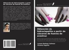 Copertina di Obtención de hidroxiapatita a partir de cáscaras de huevos de avestruz