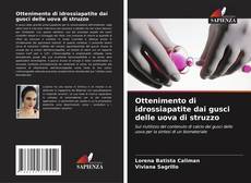 Buchcover von Ottenimento di idrossiapatite dai gusci delle uova di struzzo