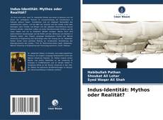 Indus-Identität: Mythos oder Realität? kitap kapağı