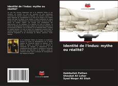 Bookcover of Identité de l'Indus: mythe ou réalité?