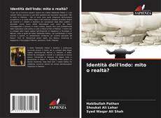 Identità dell'Indo: mito o realtà? kitap kapağı
