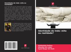 Copertina di Identidade do Indo: mito ou realidade?