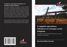 Buchcover von Il rapporto agricoltura-industria e lo sviluppo rurale integrato