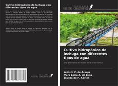 Copertina di Cultivo hidropónico de lechuga con diferentes tipos de agua