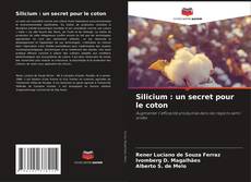 Borítókép a  Silicium : un secret pour le coton - hoz