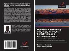 Buchcover von Ujawnianie informacji dotyczących ryzyka klimatycznego a nietypowe zwroty