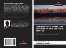 Bookcover of Disclosure of Climate Risk Information and Abnormal Returns