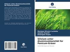 Bookcover of Silizium unter Aluminiumtoxizität für Panicum-Gräser