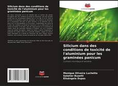 Bookcover of Silicium dans des conditions de toxicité de l'aluminium pour les graminées panicum