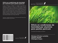 Silicio en condiciones de toxicidad por aluminio para pastos panicum kitap kapağı