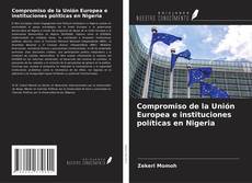 Compromiso de la Unión Europea e instituciones políticas en Nigeria的封面
