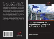 Couverture de Zaangażowanie Unii Europejskiej i instytucje polityczne w Nigerii