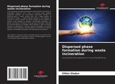 Borítókép a  Dispersed phase formation during waste incineration - hoz