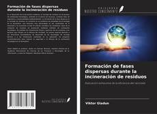 Formación de fases dispersas durante la incineración de residuos的封面