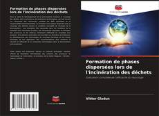 Borítókép a  Formation de phases dispersées lors de l'incinération des déchets - hoz